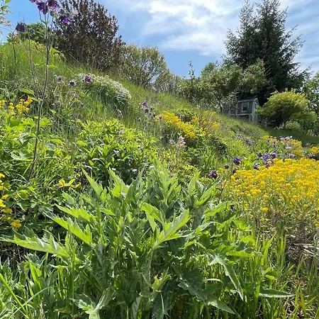 Fluegels Rebi-baude Vakantiehuis *
