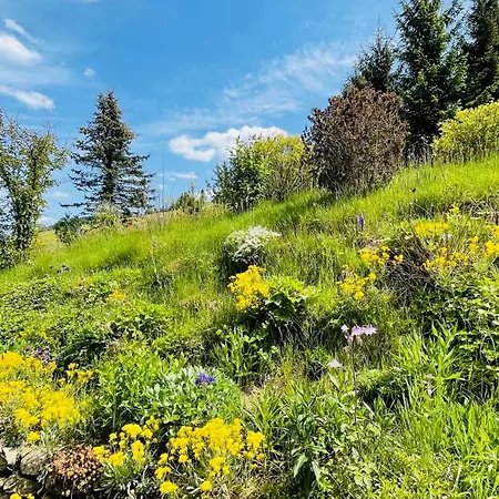 Vakantiehuis Fluegels Rebi-baude Rechenberg-Bienenmühle