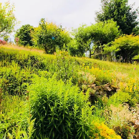 Vakantiehuis Fluegels Rebi-baude *