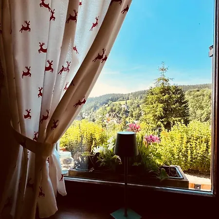 Vakantiehuis Fluegels Rebi-baude Rechenberg-Bienenmühle