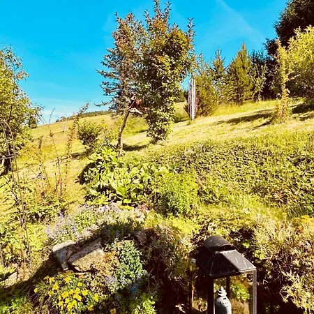 Fluegels Rebi-baude Vakantiehuis *