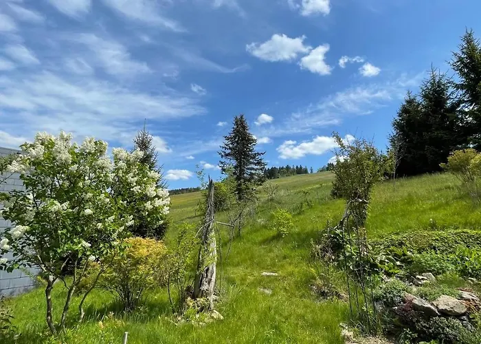 Fluegels Rebi-baude Дом отдыха