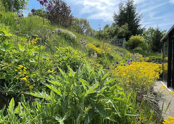 Fluegels Rebi-baude Дом отдыха *