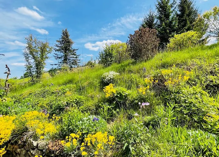 Дом отдыха Fluegels Rebi-baude Rechenberg-Bienenmuhle