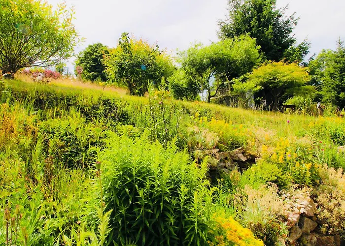 Дом отдыха Fluegels Rebi-baude *