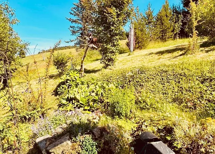 Fluegels Rebi-baude Дом отдыха *